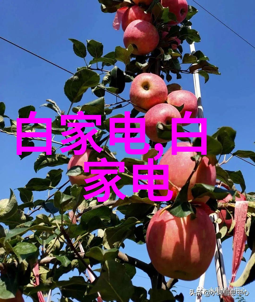 海尔集团与海尔智家股份转让不断已成交3笔